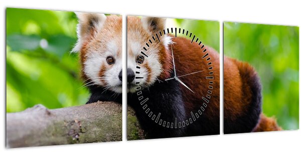 A vörös panda képe (órával) (90x30 cm)