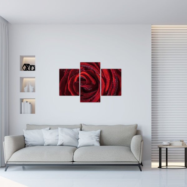 Kép - Vörös rózsa harmatcseppekkel (90x60 cm)