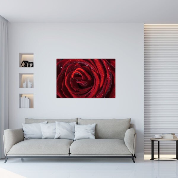 Kép - Vörös rózsa harmatcseppekkel (90x60 cm)