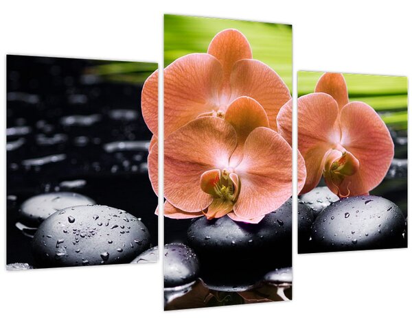 Kép - Narancssárga orchidea pálmalevelekkel (90x60 cm)