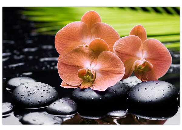 Kép - Narancssárga orchidea pálmalevelekkel (90x60 cm)