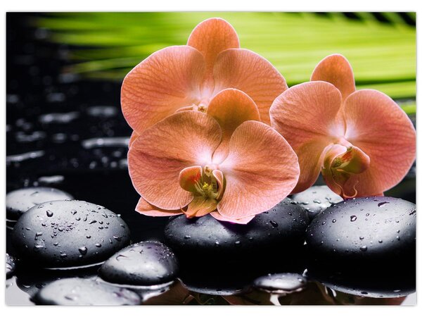Kép - Narancssárga orchidea pálmalevelekkel (70x50 cm)