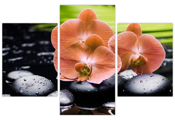 Kép - Narancssárga orchidea pálmalevelekkel (90x60 cm)