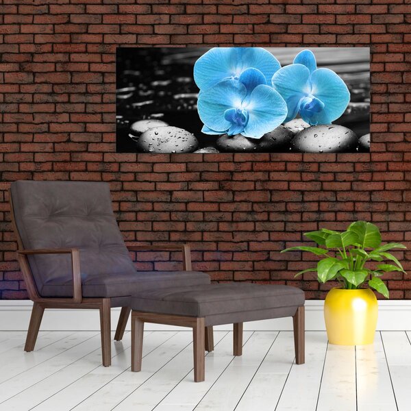 Kép - Kék orchidea (120x50 cm)