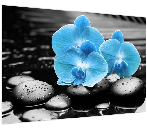 Kép - Kék orchidea (90x60 cm)