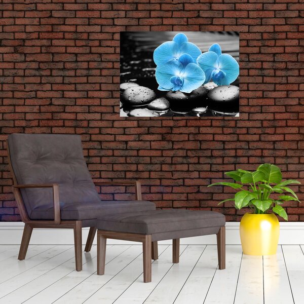 Kép - Kék orchidea (70x50 cm)