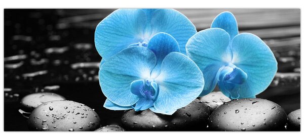 Kép - Kék orchidea (120x50 cm)