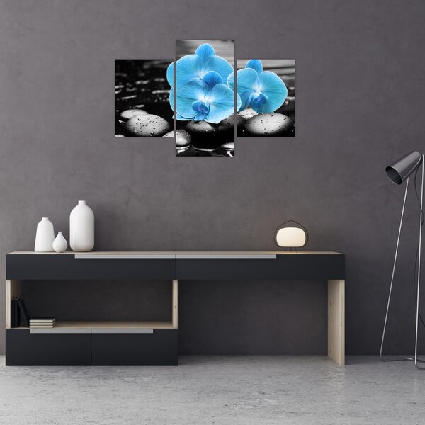 Kép - Kék orchidea (90x60 cm)