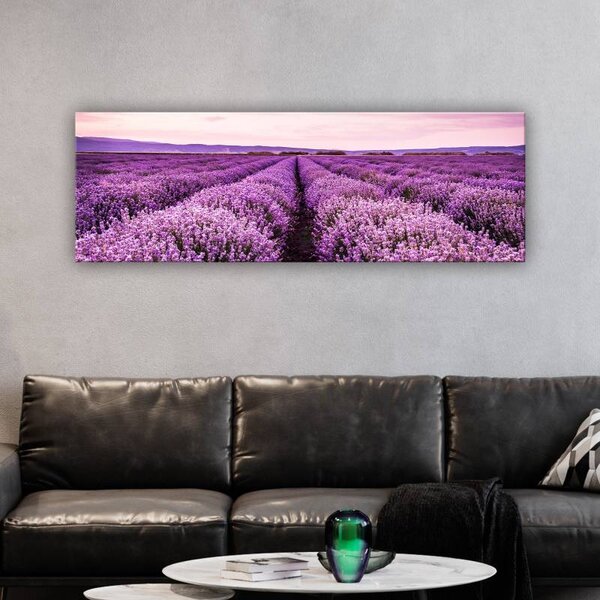 70x40 cm - Végtelen levendula ültetvény vászonkép