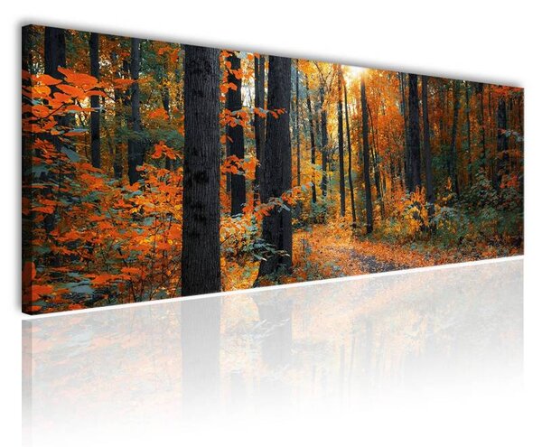 70x40 cm - Őszi erdőn átszűrődő fények vászonkép