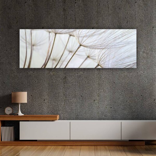 70x40 cm - Pitypang közeli vászonkép