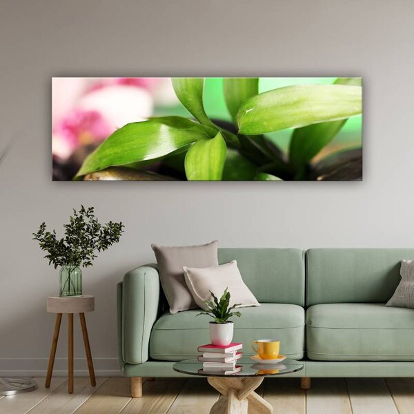 70x40 cm - Feng shui zöld vászonkép