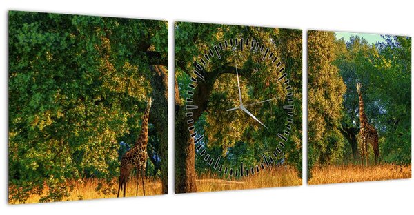 Zsiráf a természetben képe (órával) (90x30 cm)