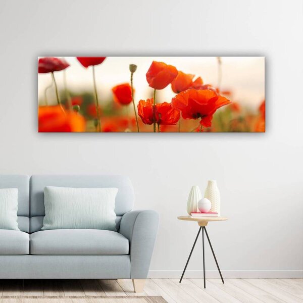 70x40 cm - Pipacsok a szélben vászonkép