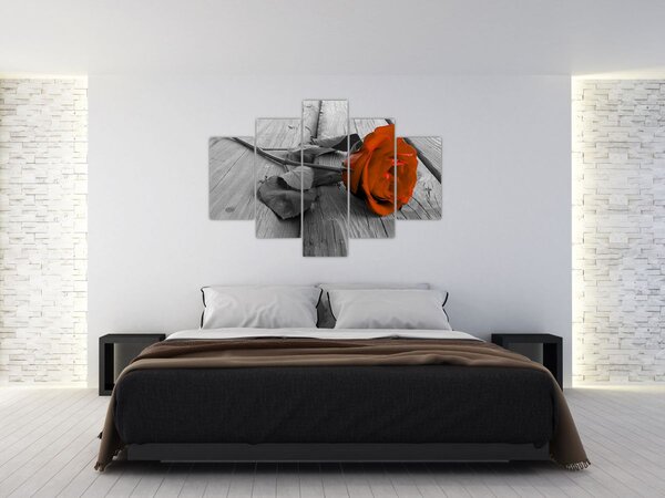 Kép - Narancs Rózsa (150x105 cm)