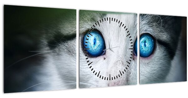 Macska képe (órával) (90x30 cm)