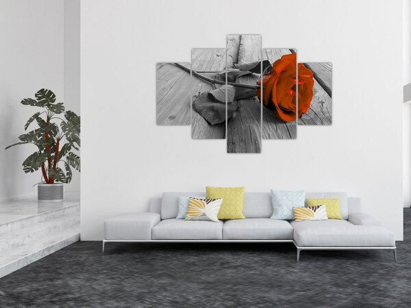Kép - Narancs Rózsa (150x105 cm)
