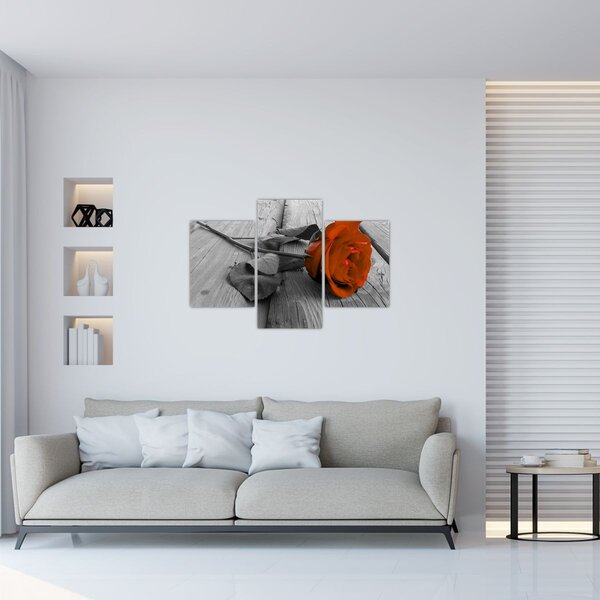 Kép - Narancs Rózsa (90x60 cm)