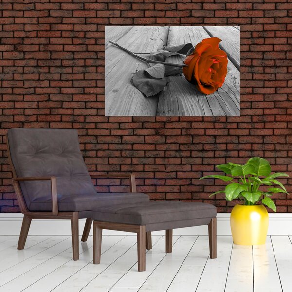 Kép - Narancs Rózsa (90x60 cm)