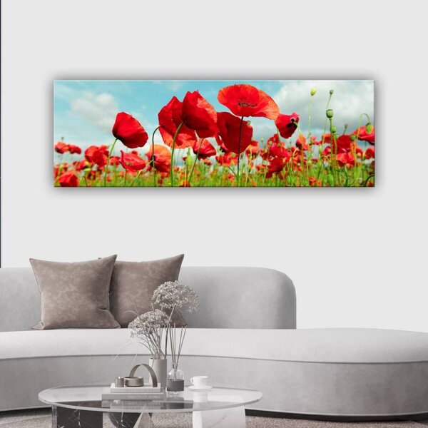70x40 cm - Pipacs a réten vászonkép