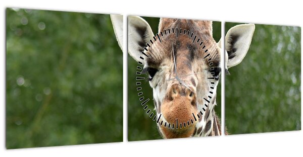 Egy zsiráf képe (órával) (90x30 cm)