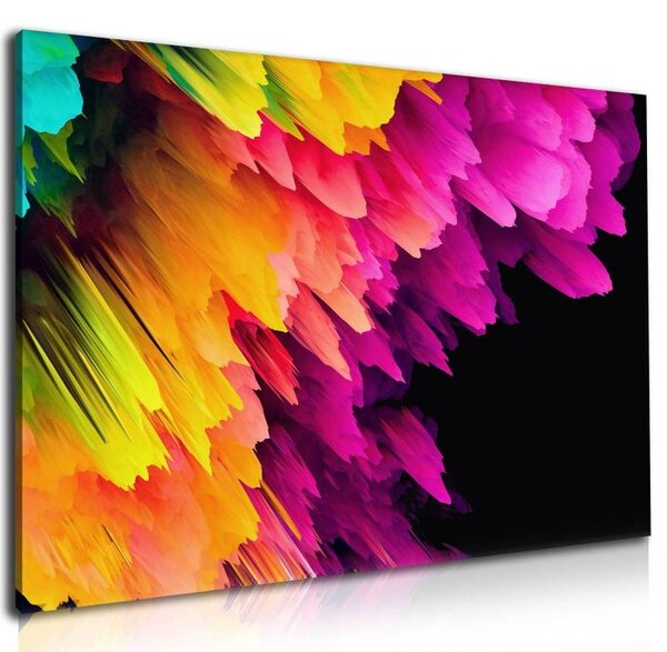 70x40 cm - Színes festék robbanás vászonkép