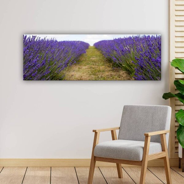 70x40 cm - Levendula mező vászonkép