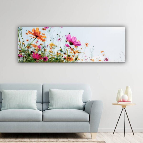 70x40 cm - Színes réti virágok vászonkép