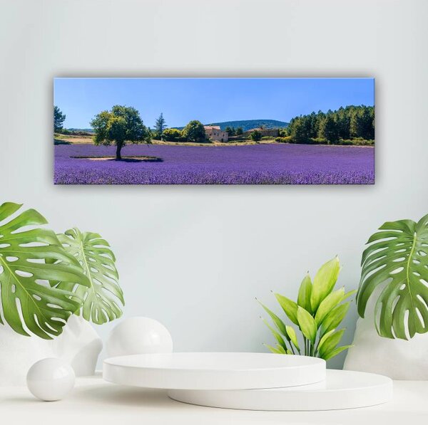 70x40 cm - Végtelen levendulák vászonkép