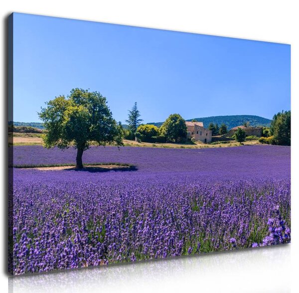 70x40 cm - Végtelen levendulák vászonkép