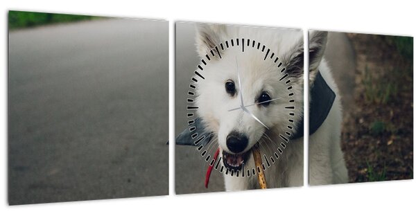Egy fehér kutya képe (órával) (90x30 cm)