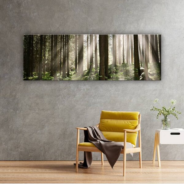 70x40 cm - Sejtelmes erdei fények vászonkép