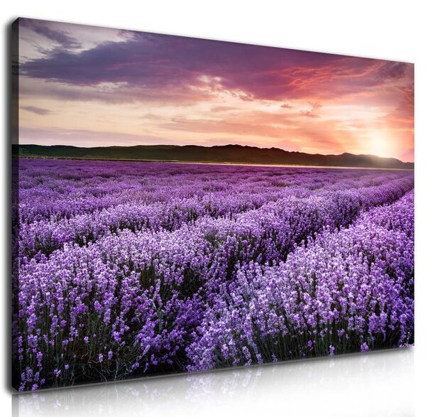 70x40 cm - Levendula és naplemente vászonkép