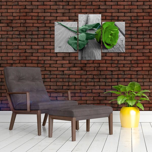 Kép - Zöld rózsa (90x60 cm)