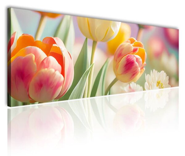 70x40 cm - Színes holland tulipánok vászonkép