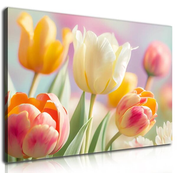 70x40 cm - Színes holland tulipánok vászonkép