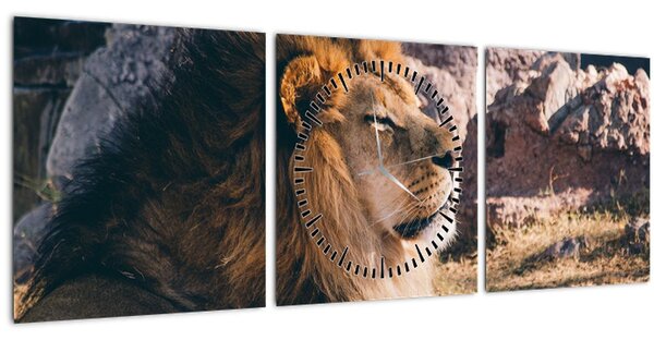 Egy fekvő oroszlán képe (órával) (90x30 cm)