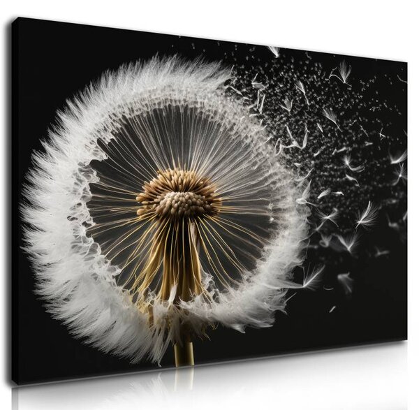 70x40 cm - Pitypang a szélben vászonkép