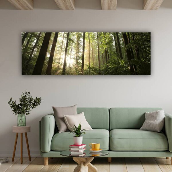 70x40 cm - Erdei fák között átszűrődő fények vászonkép