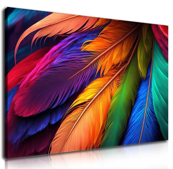 70x40 cm - Élénk színű tollak vászonkép