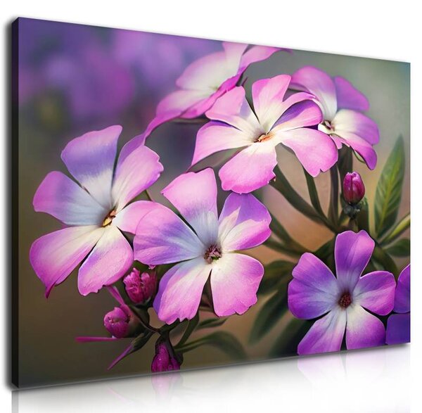 70x40 cm - Rózsaszín virág szirmok vászonkép