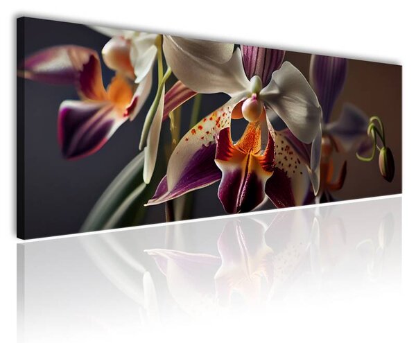 70x40 cm - Tökéletes orchidea vászonkép
