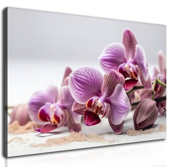 70x40 cm - Rózsaszín orchidea csokor vászonkép