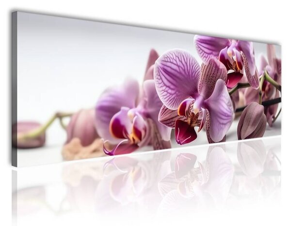 70x40 cm - Rózsaszín orchidea csokor vászonkép