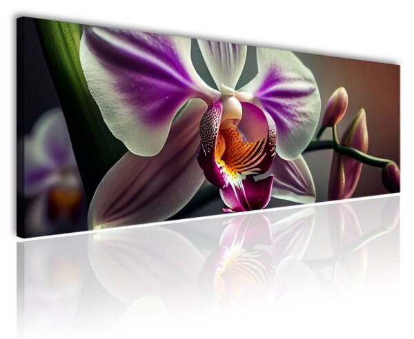 70x40 cm - Lila fehér orchidea szirmok vászonkép