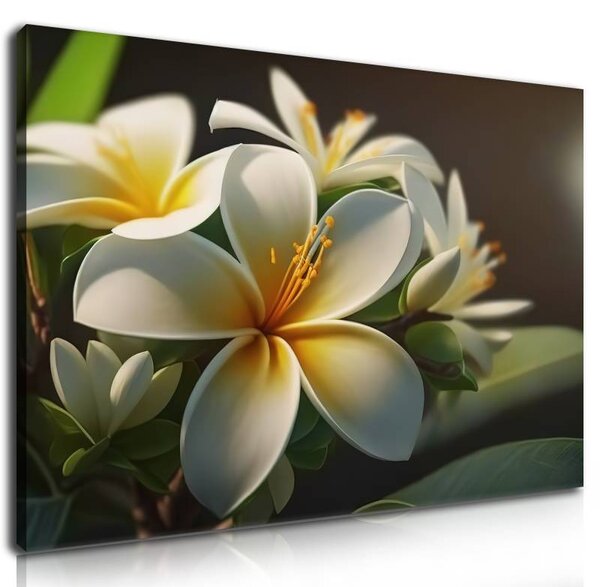 70x40 cm - Hawaii rózsa vászonkép