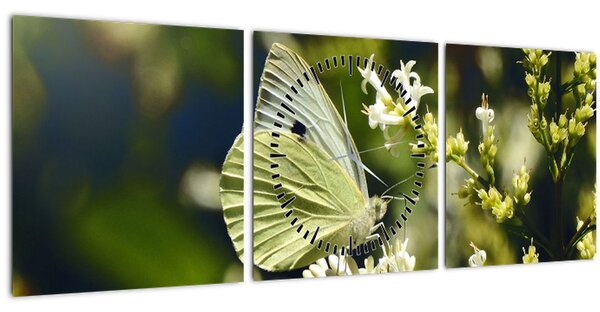 Pillangó képe (órával) (90x30 cm)