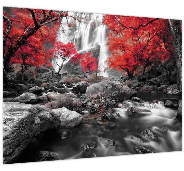 Kép - Vízesések az őszi tájban (70x50 cm)