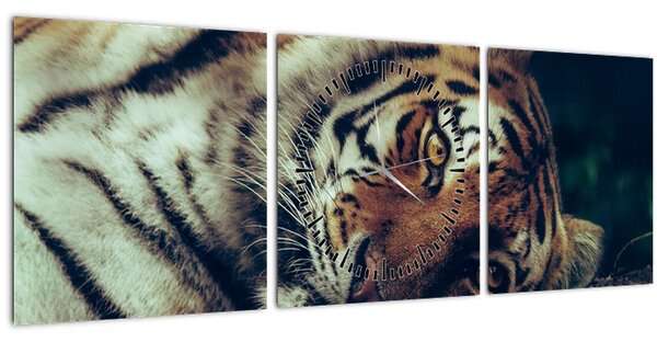 Kép - Szibériai tigris (órával) (90x30 cm)