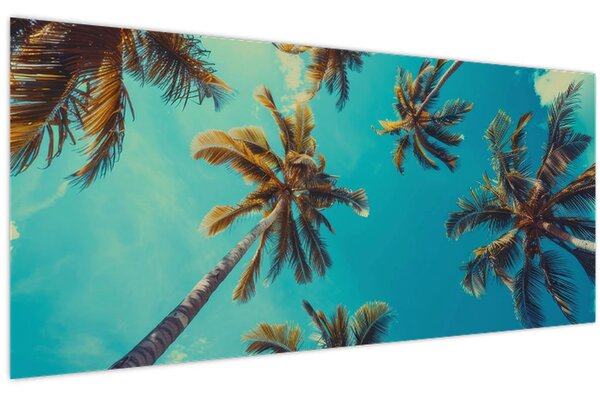 Kép - Magas pálmafák (120x50 cm)